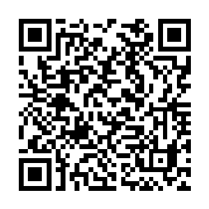 安妮客气的将张东城和帕翠西娅两人让到了房间中二维码生成