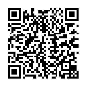 安妮小姐编排的舞蹈显而易见是要远超原来版本中的编舞的二维码生成