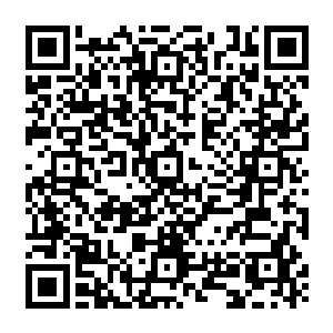 安妮王后的思维方式去理解的话……她所说的她最后住过的地方……是指这附近的一片区域二维码生成