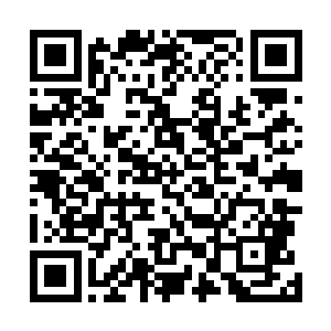 安娜从很多难民中拔擢出了一些有管理才能的人作为文官二维码生成