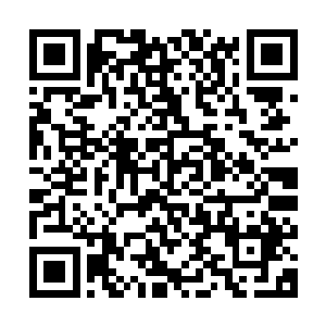 安娜看到了小分队的最高指挥官在大战之前对命运的担忧和无望二维码生成