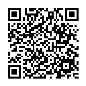 安娜苏的指甲油只是喜欢那个瓶子收集了很多就摆在柜子里看二维码生成