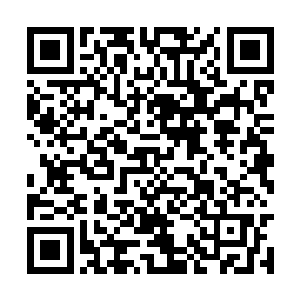 安子你还是给我注射一剂改造身体的药剂什么的吧二维码生成