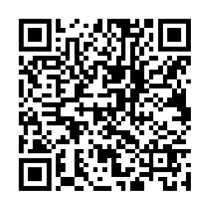 安宁的话让屋里所有人的目光全集中在晏晨的身上二维码生成