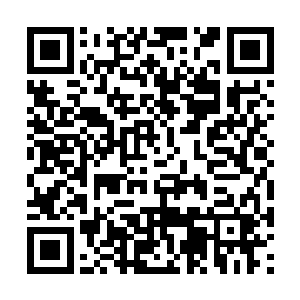 安安……要保护羊羊的……羊羊是彦彦……呜呜呜二维码生成