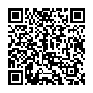 安家已经出了安隽煌这样一个雄才伟略的掌权人二维码生成