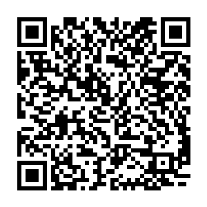 安岭鸟市集已经是整个沼地公国除了黑骨林学院之外汇聚巫师最多的地方二维码生成