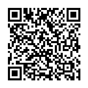 安德莉雅我用我指挥作战多年的经验告诉你一个道理二维码生成