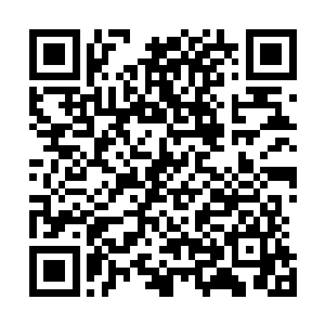 安心呆在基地里吸着营养液的白胖娃娃也是从石棺里出来的二维码生成