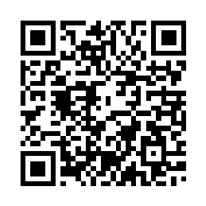 安然买了一束康乃馨和一篮子水果二维码生成