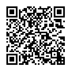 安琪儿本就是依靠万能药这种外力强行突破的8阶二维码生成