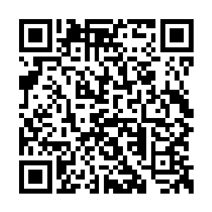 安琪儿的身上也忽然燃起了那种诡异的蓝色火焰二维码生成