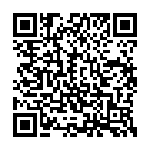 安琪儿等人在战斗时使用的招式都是自己自创的二维码生成