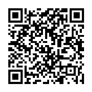 安瑞身穿一袭黑色低胸紧身连衣裙和邵华出现在大门口二维码生成