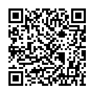 安祖拉人熊终于将第一头食人魔的脑袋生生挠烂二维码生成