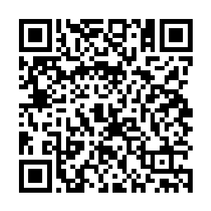 安立元创造出来这个种族初期或许是为了延长人类寿命二维码生成