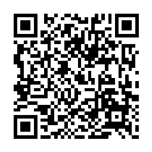 安蒂和蒂娜也在小姨的帮助下穿上盛装参加舞会二维码生成