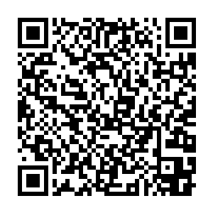 安藤家族也不会派遣了这一批足以震慑甚至是击杀两大阵营的高手了二维码生成