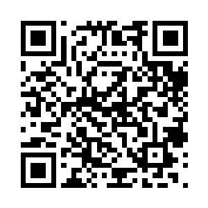 安远通信将推出一款替代熊猫AR317的蓝屏手机二维码生成