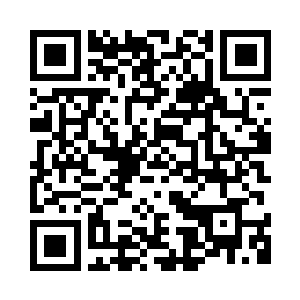 安静地注视着连绵无尽的荷叶荷花二维码生成