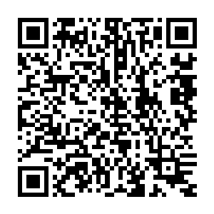 安静的看着庄园之中那片点缀着庭院灯的花园和远处轩辕之丘的轮廓二维码生成