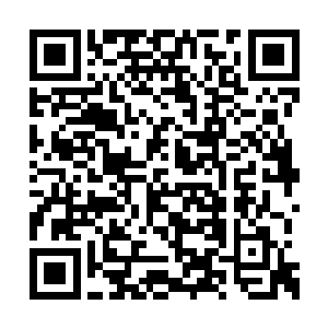 安齐远和苏澈为了掩人耳目也陆续取出丹药服用二维码生成