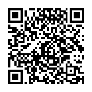 安齐远在深潭周围为法正等人留下了足以被他们感知的记号二维码生成