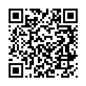 安齐远接过来源不同的两枚修复丹二维码生成