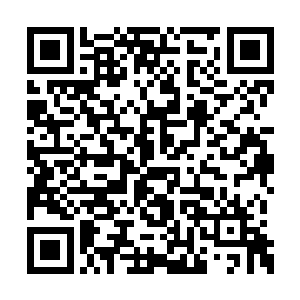 宋不归飞快浏览着宋力行传送过来的一份份情报二维码生成