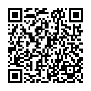 宋大仁这把刀是故意留在这让新师弟们试试手的二维码生成