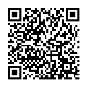 宋大成和蒲燕一边吃饭一边听着陆为民这一个个奇思妙想二维码生成