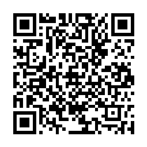 宋智孝上来直接一巴掌对着金在珉的脑袋敲了过去二维码生成