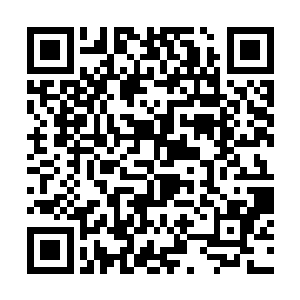 宋笠倒不是介意慕名而来的看客们到最后看不到大潮二维码生成
