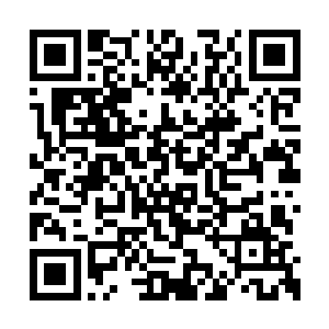宋老爷子以一种恨铁不成钢的眼神看了看叶云端二维码生成