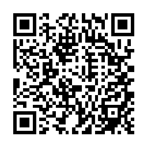 宋老爷子终于抵不过其他几位老兄弟的推诿目光看着自己二维码生成