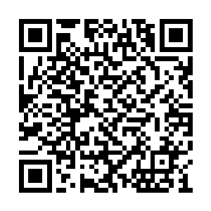 宋自成已经安排人去了张石头在烈山的老家去了二维码生成