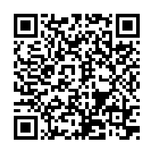 宋辰砂直接略过水沐两家修士话语里隐含的质疑二维码生成