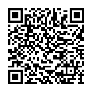完全不在乎我们这些可能捣乱的人就在旁边盯着二维码生成