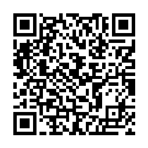 完全不敢置信的看着那角落几乎无人问津的几株草药二维码生成