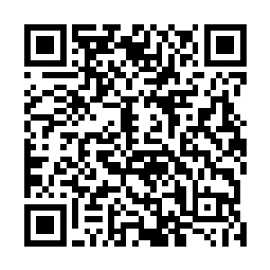 完全不是对面这个域外天魔只是凭着那具身体的圣级蛮力二维码生成