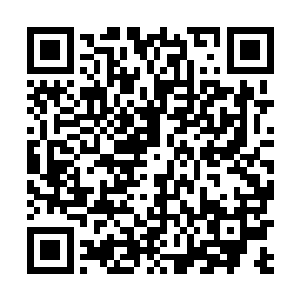 完全不清楚这颗小树什么时候又结了这么一颗果实来着二维码生成