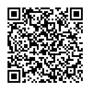 完全不知道平时总是万事儿不管不问的亲爹突然间怎么关心起他们来了二维码生成