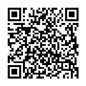 完全以北方机械厂及其厂里职工们的利益作为抉择的依据二维码生成