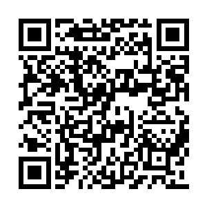 完全可以将这11%的市场占有率提升到百分之六十二维码生成