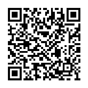 完全可以挽着头发作为一个装饰品别在头发上的二维码生成