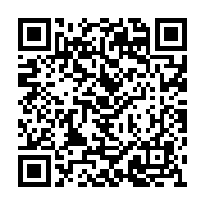 完全可以看到他的眼中某种失望的神色一闪而过二维码生成