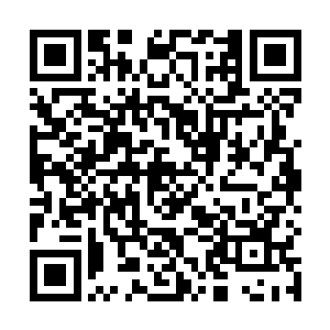 完全吸收了药材的底汤煮什么都是香的让人闭不上嘴巴二维码生成