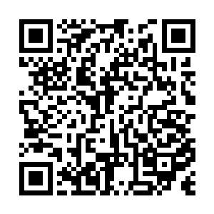 完全就好像大度的长辈面对乱发脾气的小家伙一样二维码生成