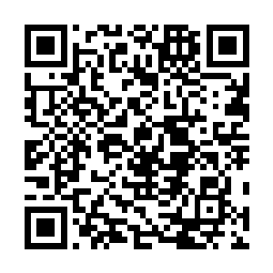完全就是一座比地面上甲级城市还要雄伟十倍的巨大要塞二维码生成
