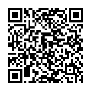 完全就是只要怪盗格伦有什么不好的举动马上就开枪二维码生成